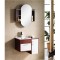 700mm (30" ) Wall Hung Bathroom cabinet AN-M-106
